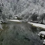 Zorc Apartman Bohinj