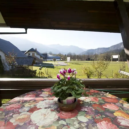 Zorc Appartement *