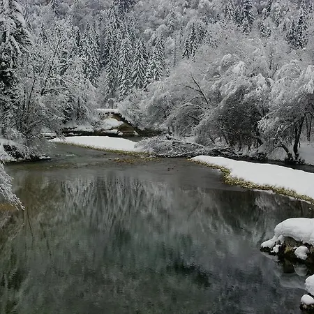 Zorc Apartment Bohinj