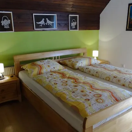 Apartment Zorc *