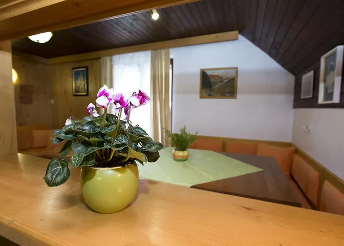 佐克公寓 * 博希尼