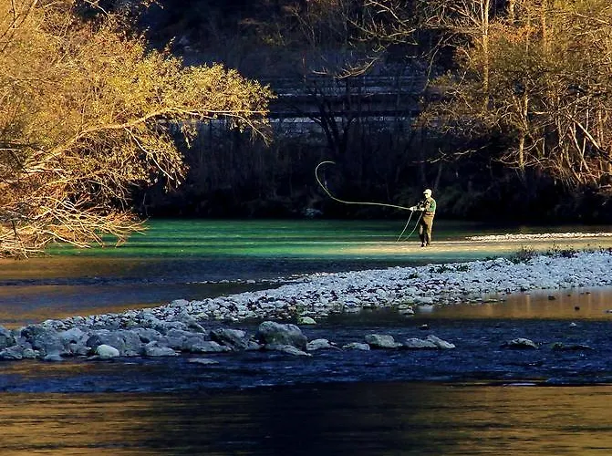 公寓 佐克公寓 *