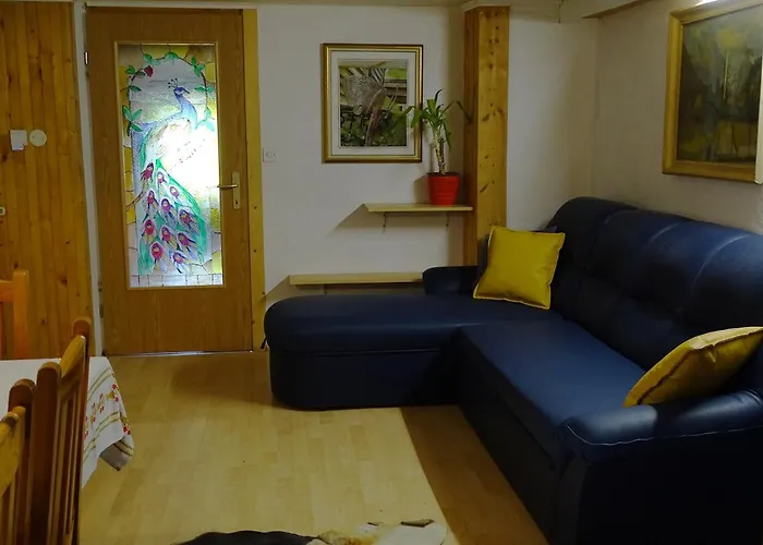 公寓 佐克公寓 博希尼